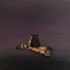 a29 嗨!慢一點Capybara