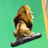 嗨！慢一點 Lion