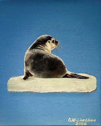 a49 嗨!慢一點Baby seal - 世界顛沛流離,你一定要找到自己