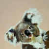 嗨！慢一點Baby Koala  - 凡事全力以赴，包括開心
