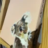 嗨！慢一點Baby Koala  - 凡事全力以赴，包括開心