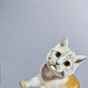 Mofu Mofu - 憨憨