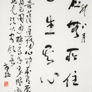 應無所住