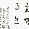 應無所住