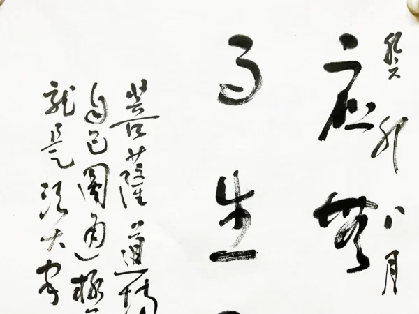 應無所住