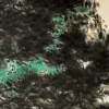 z6 寫自作詩意